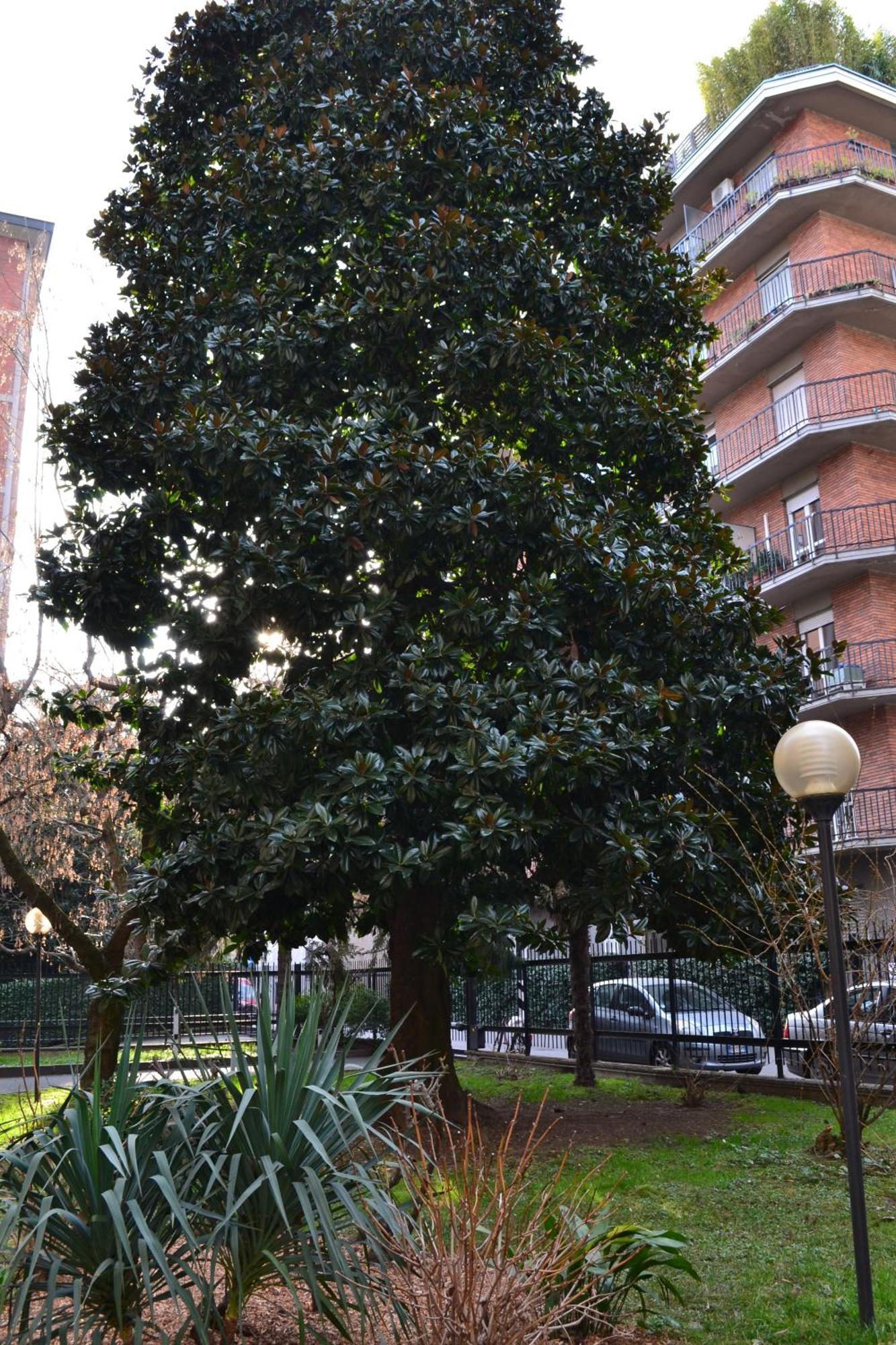 Mocenigo4 Apartment Milan Bagian luar foto